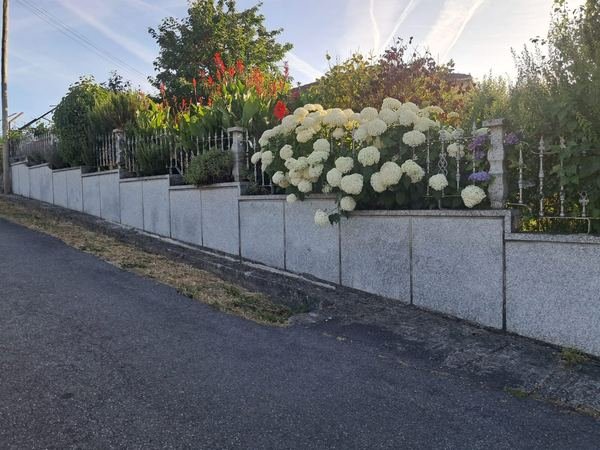 Jardín con hortensias